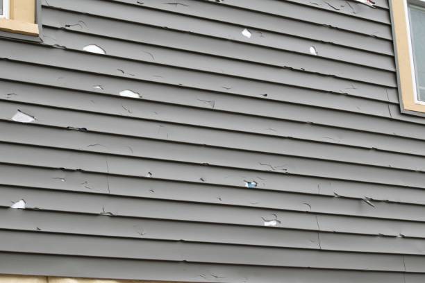 How To Choose The Right Materials for Your Siding Installation in 'Pine Hills, FL